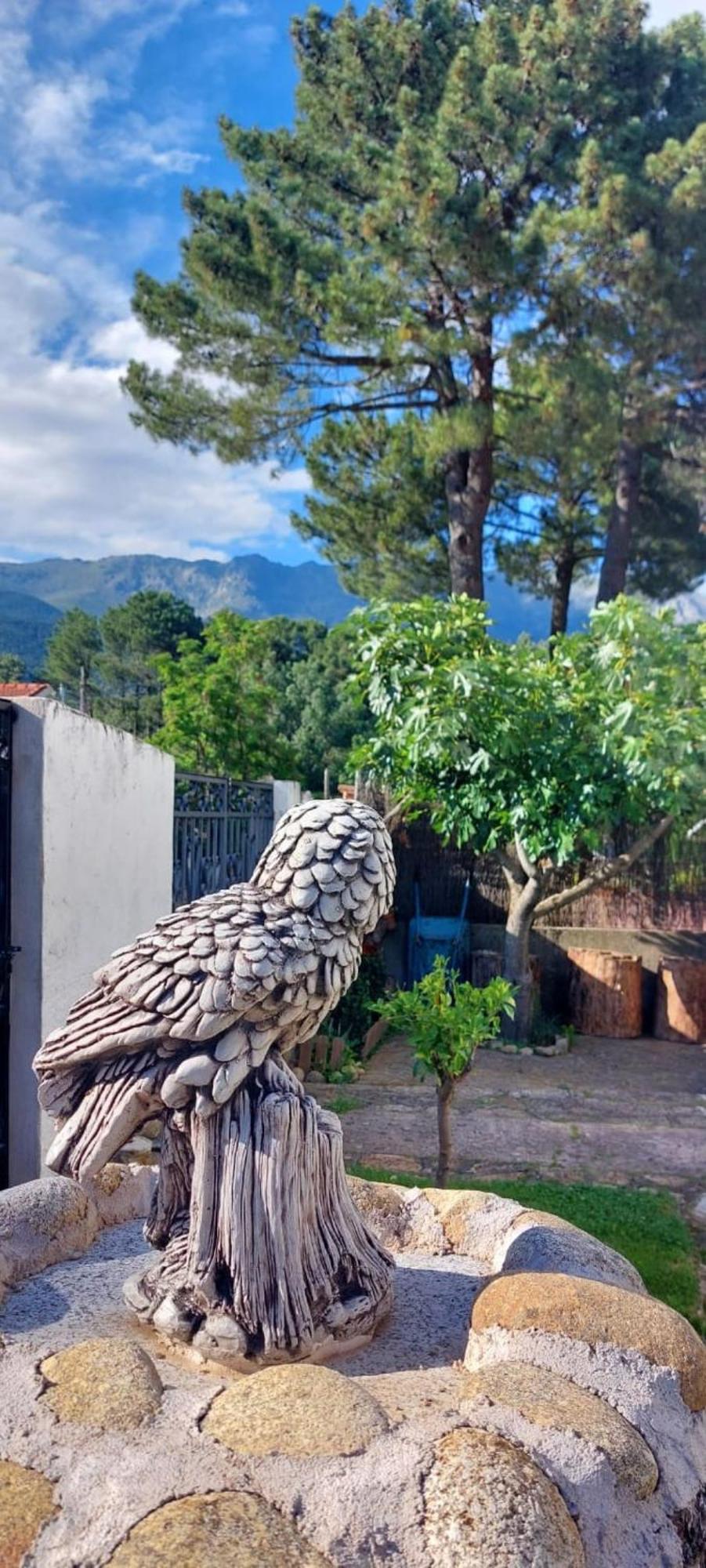 La Lechuza Blanca Villa Casavieja ภายนอก รูปภาพ